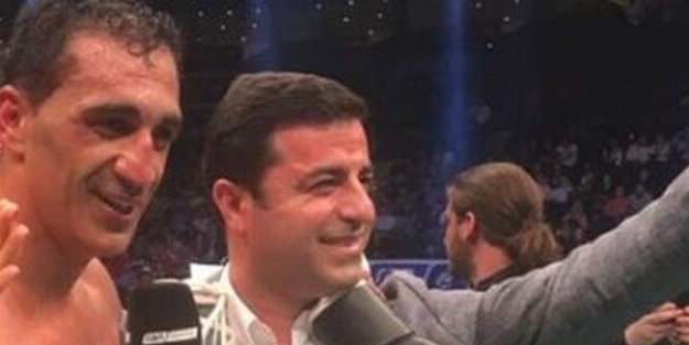 Demirtaş'ın boksörü bozkurtlardan korkmuş!