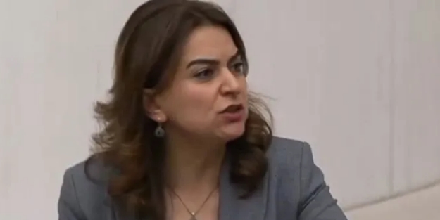 DEM'li vekilden TBMM'de bölücülük narası: Skandal 'Kürdistan' sözleri! Hain planları yinelediler