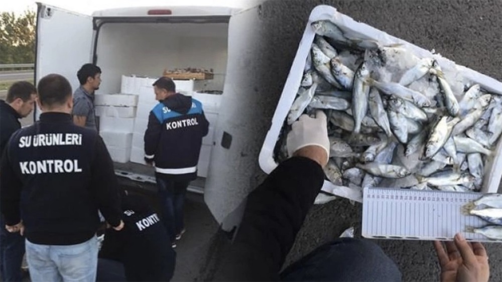 Denetimlerde ele geçirilen 90 ton su ürünü vatandaşların sofralarıyla buluşturuldu
