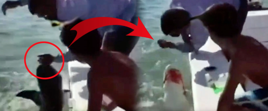 Deniz canavarı, adamın parmağını böyle katır kutur yedi! O anlar şoke etti