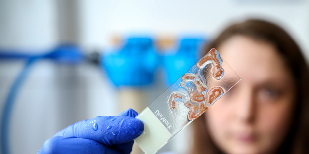 Deniz canlıları için sağlıkta devrim olacak hamle geliyor...