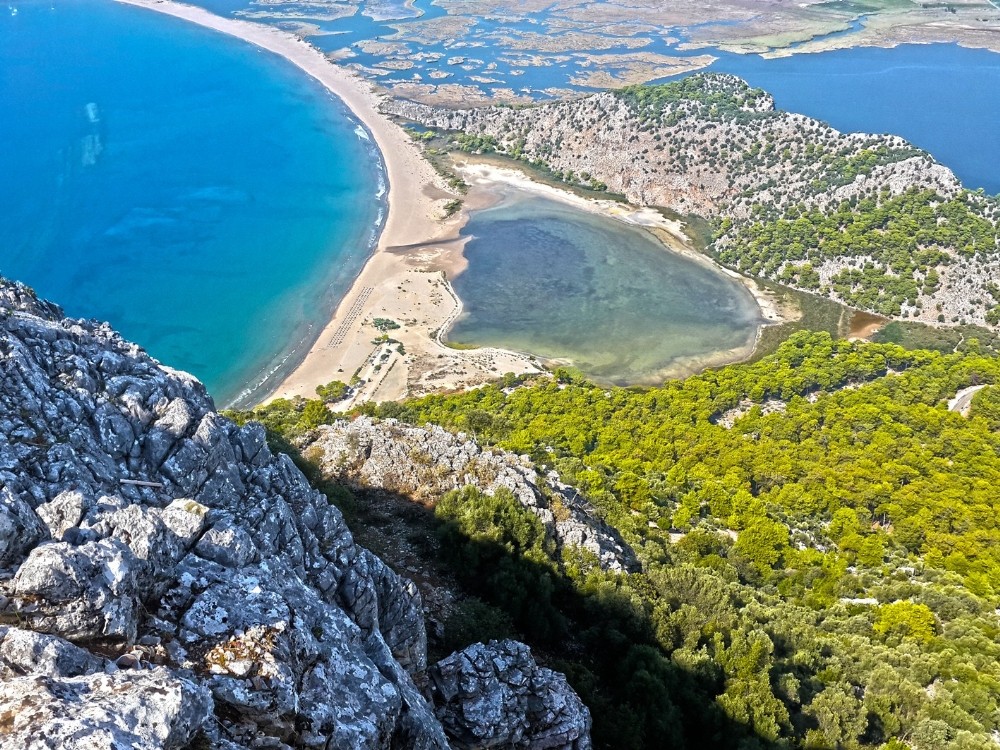 Deniz kaplumbağalarını kurtarma merkezi projesi çevrecileri endişelendirdi 