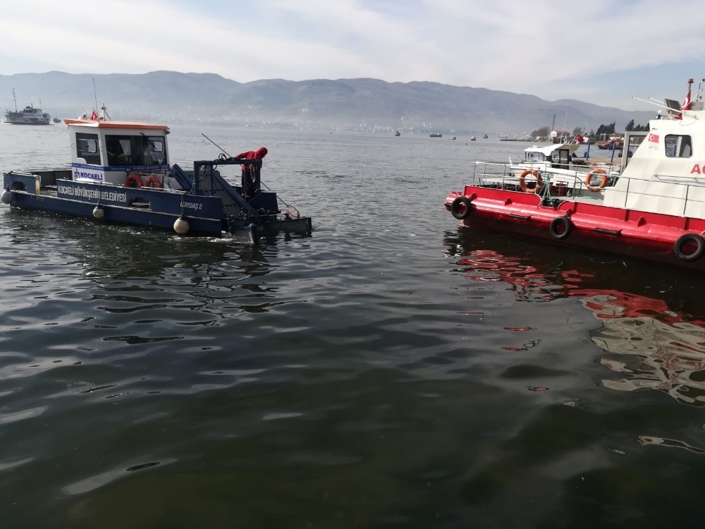 Deniz kirliliği için ortak mücadele 
