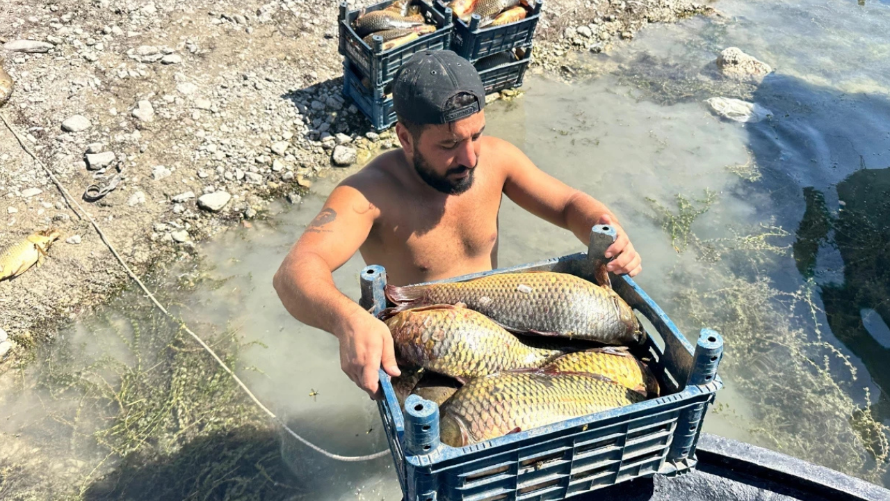 Deniz olmayan yerde balıkçılıktan ayda 200 bin TL kazanıyor