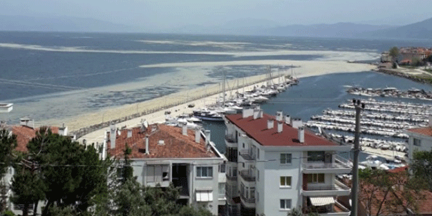 Deniz salyası Mudanya sahilini de kapladı