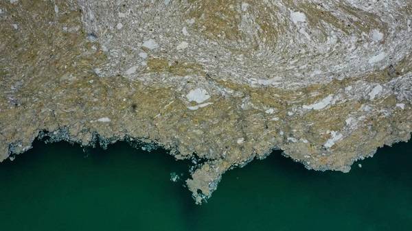 Deniz salyası olan yerden balıklar yenir mi? Marmara Denizi balığı yenir mi?