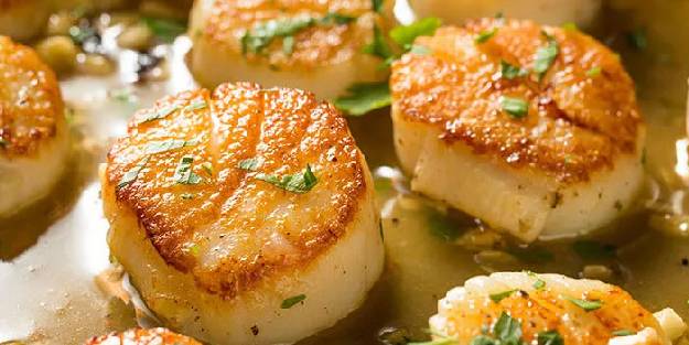 Deniz tarağı nedir? Deniz tarağı tarifi, nasıl yapılır?