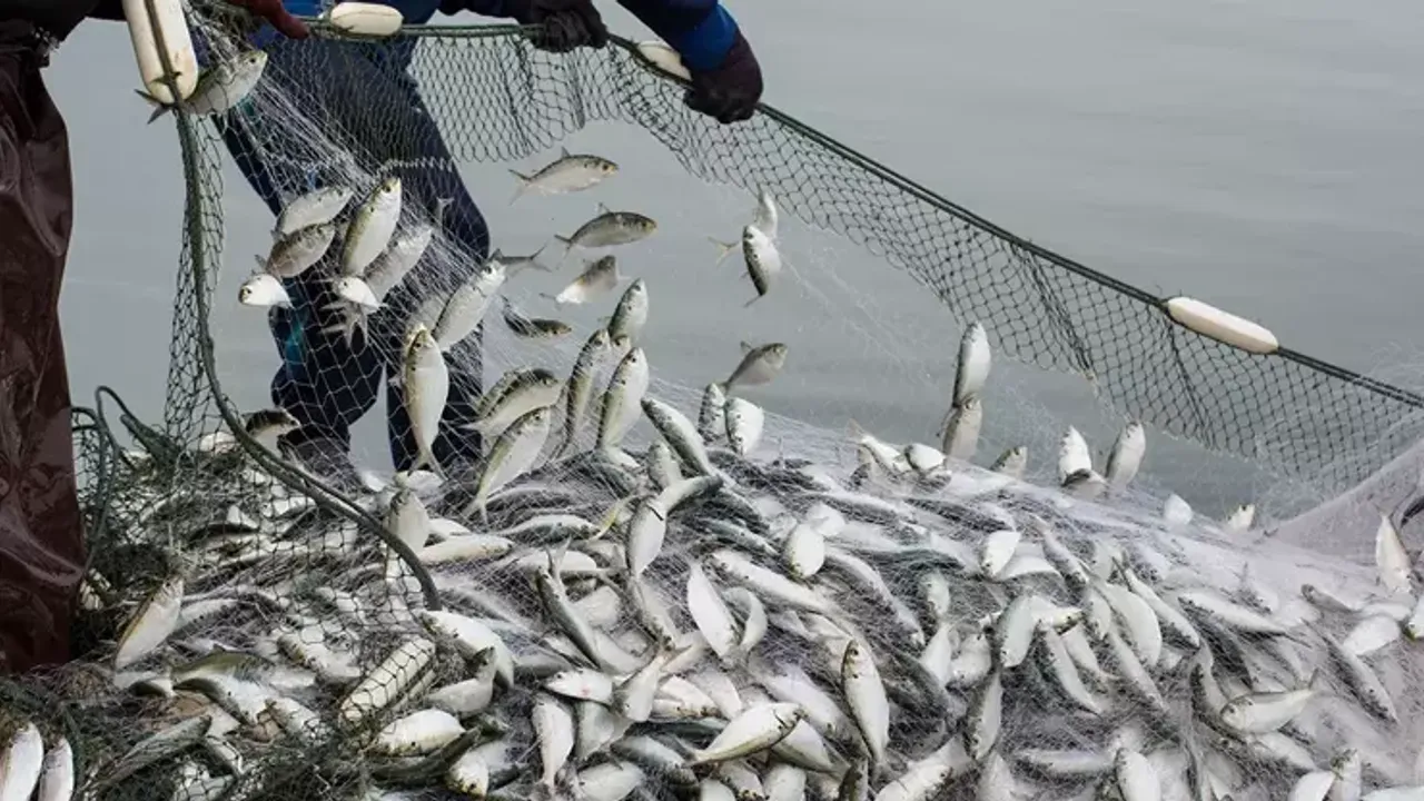 Deniz ürünleri avcılığında yeni dönem!