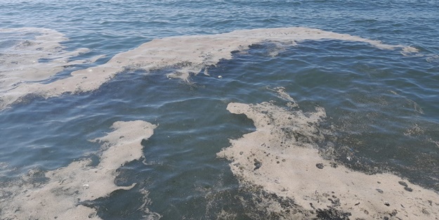 Deniz üzerinde tabaka oluştu! Müsilaj zannedildi