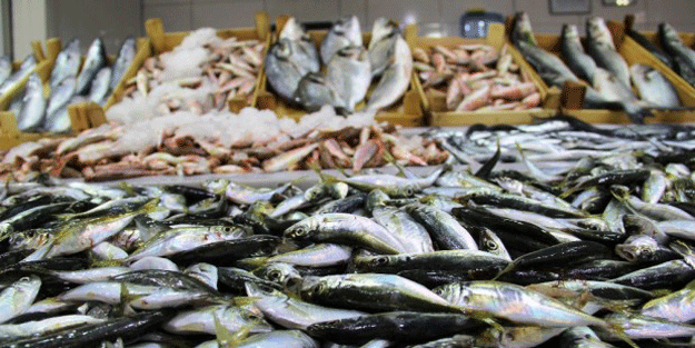 Denizde av yasağı sona erdi… Ne vatandaşın ne de balıkçının yüzü gülmedi