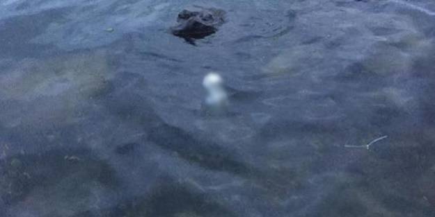 Denizde cenin bulundu