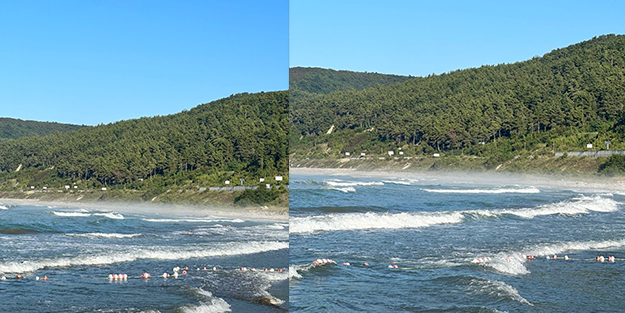 Denizde ilginç anlar! Görenler telefona sarıldı