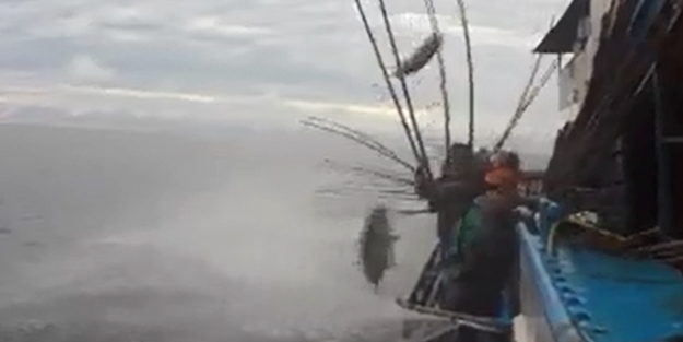 Denizden balık topladılar