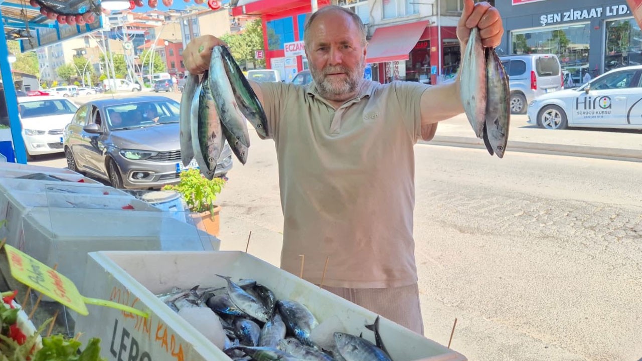Denizden bereket fışkırdı! Oltasını kapan kasa kasa dönüyor
