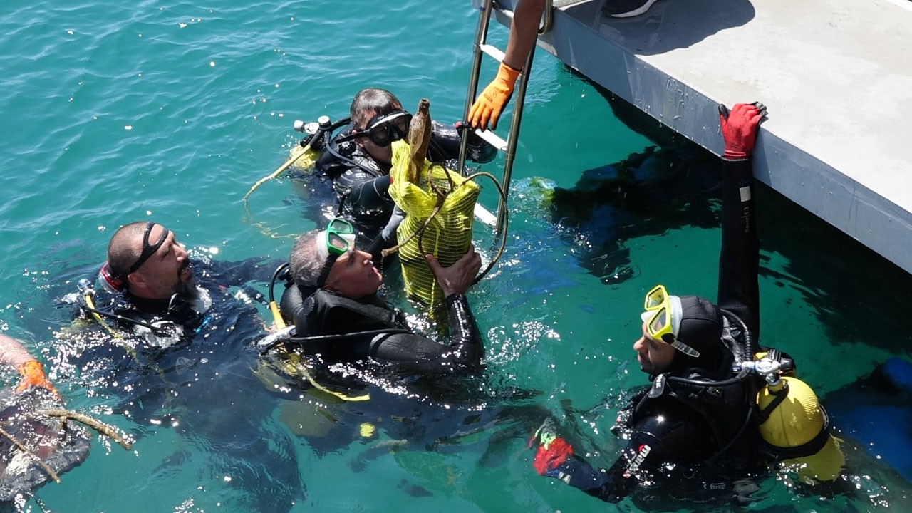 Denizden çıkanlara inanamayacaksınız!