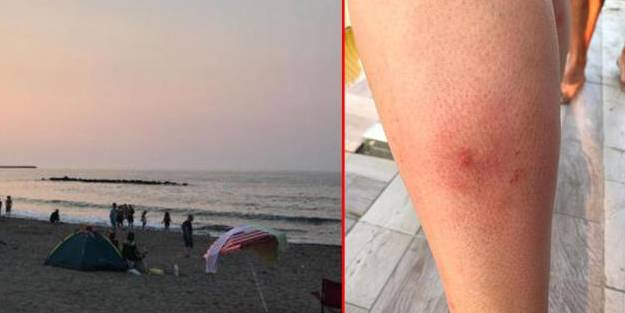 Denize giren onlarca kişi hastaneye başvurdu! Bölgede yüzmek yasaklandı