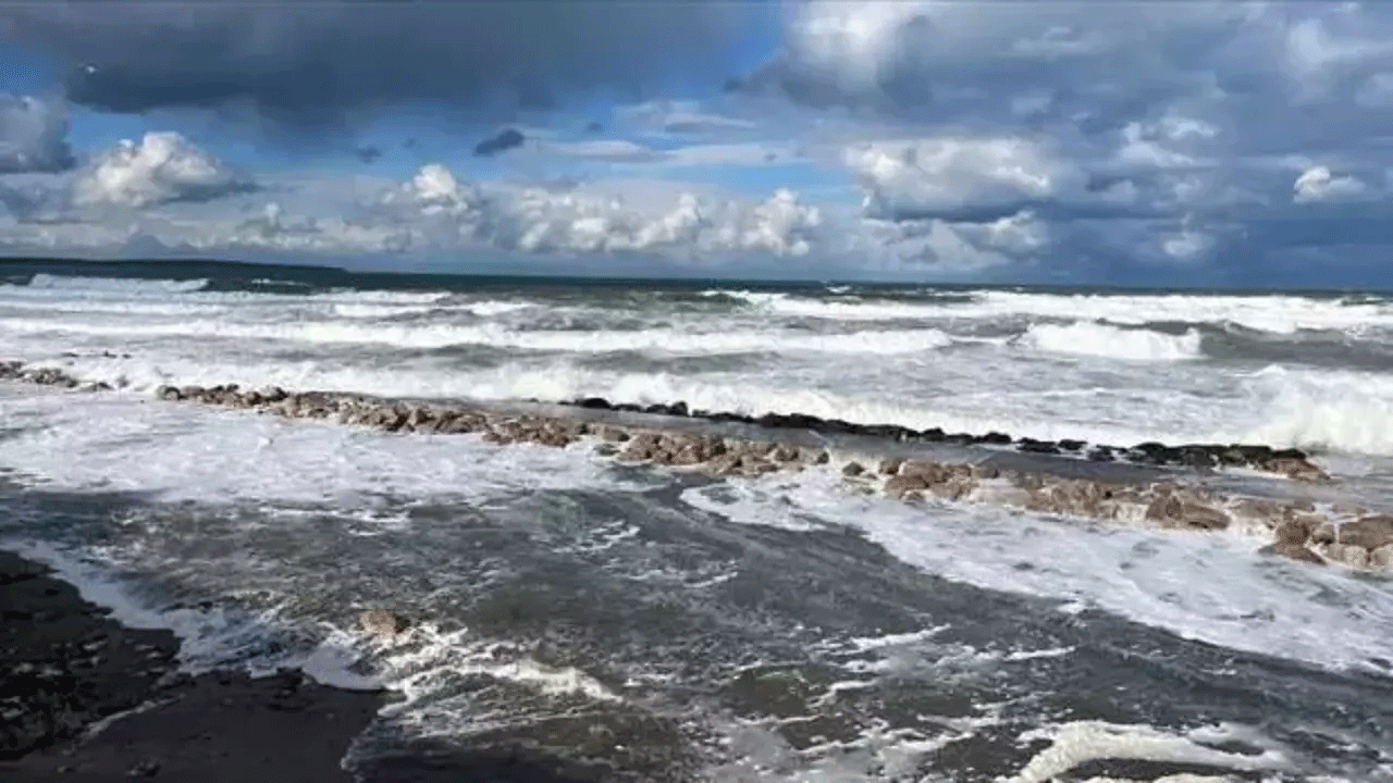 Denize girmek yasaklandı!