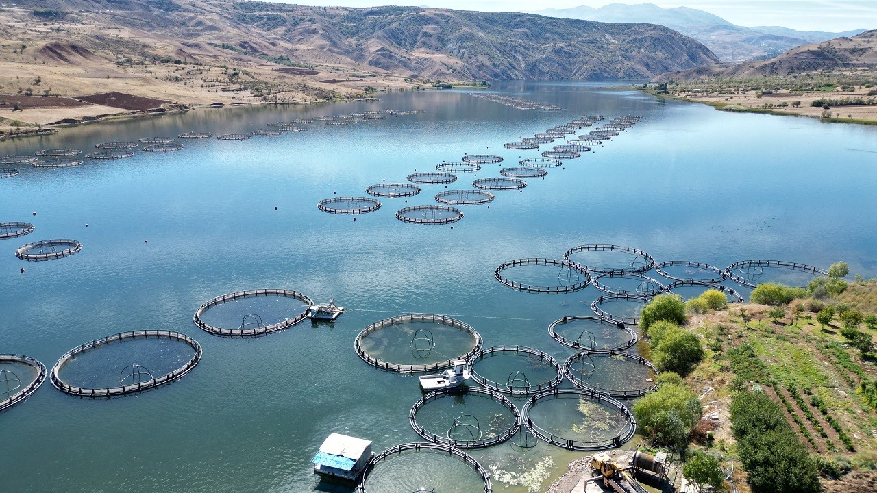 Denizi olmayan şehrin balıkları yola çıkıyor