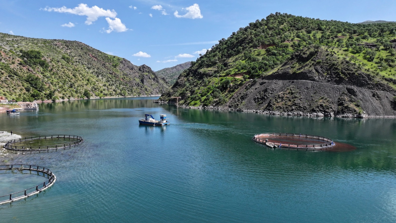 Denizi yok ama somon ihraç ediyor! Türkiye’nin bu ilçesini artık tüm dünya tanıyacak!