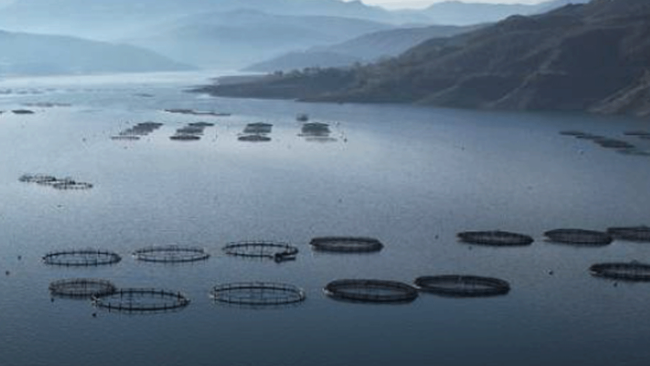 Denizi yok ama ürünleri paylaşılamıyor!