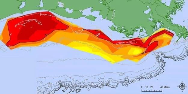 Denizin dibinde devasa bir bölge keşfedildi! ABD duyurdu