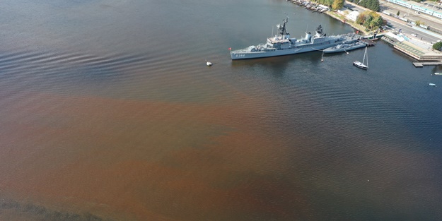 Denizin rengi kahverengiye döndü