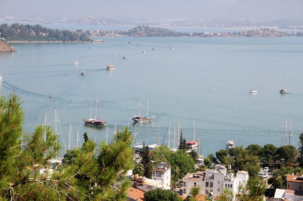 Denizin renginin alg patlamasından dolayı değiştiği ortaya çıktı 