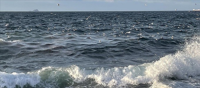 Denizler soğumuyor! El Nino ani yağışlara neden olabilir