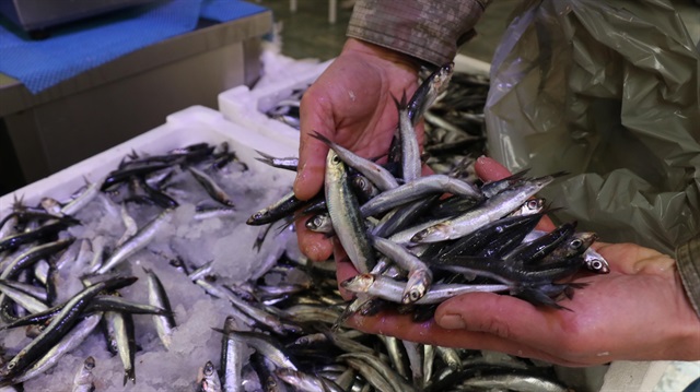 Denizlerde av sezonu sona erdi