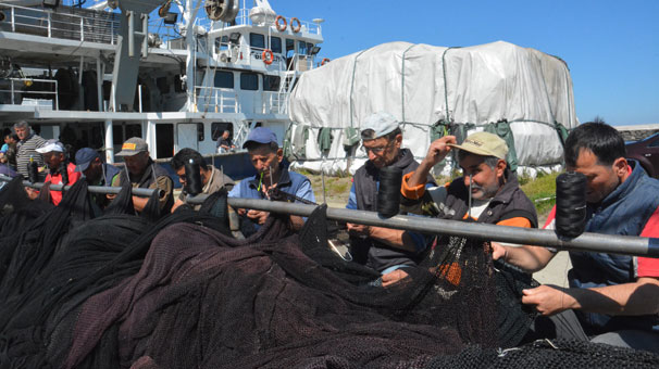 Denizlerde av yasağı daha başlamadı ama geri dönüyorlar!