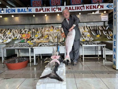 Denizlerde balık bolluğu! Tam 32 çeşit..