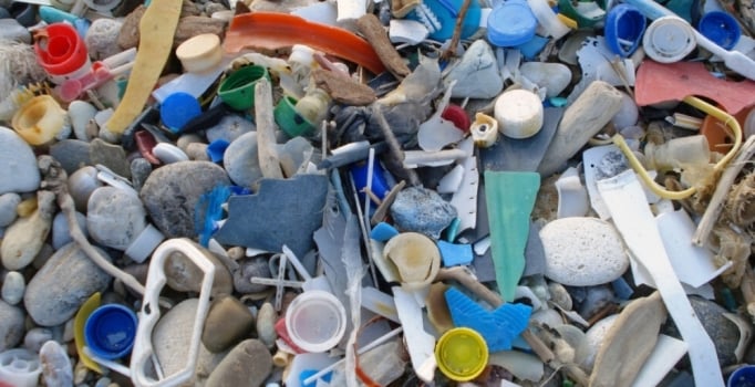 Denizlerde büyük tehlike: Mikroplastikler