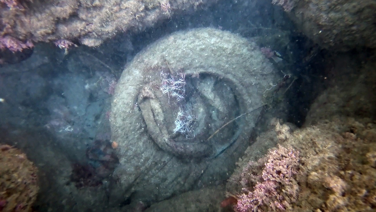 Denizlerde mikroplastik alarmı!