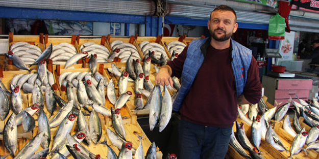 'Denizlerin kırmızı etli balığı'na büyük rağbet