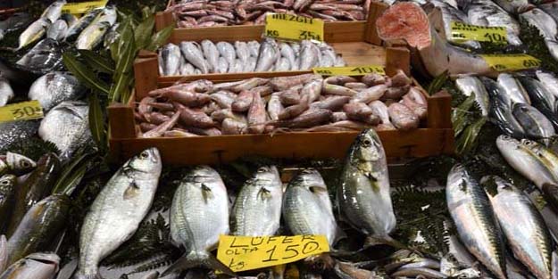 Denizlerin prensi gram altınla yarışıyor