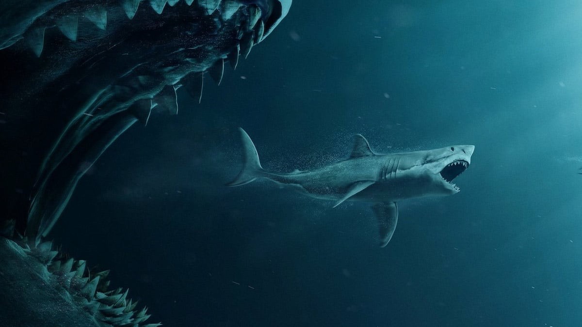 Denizlerin yeni hakimi ortaya çıktı! Film değil gerçek: Büyük beyaz köpekbalıkları bile ondan arkalarına bakmadan kaçıyor! Alayını tek lokmada yutuyor