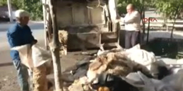 Denizli Camiye bağışlanan derilere bakın ne oldu!