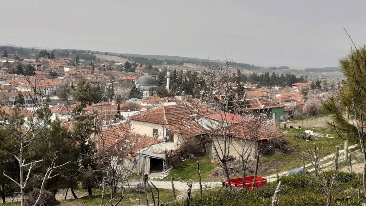 Denizli de deniz varmış! Yolda yürürken buldu, milyonlarca yıllık çıktı