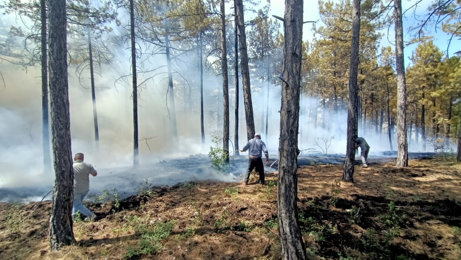 Denizli Honaz’da orman yangını! 165 hektar alan son anda kurtarıldı