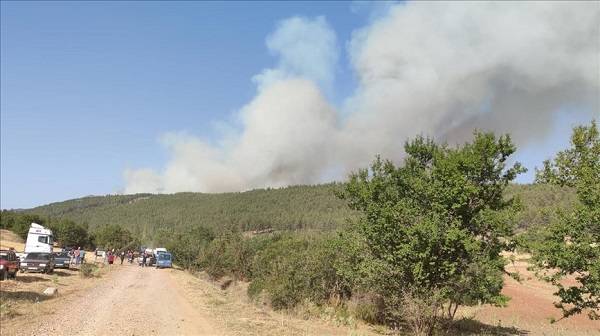 Denizli orman yangını son durum | Pınarlık orman yangını söndü mü?