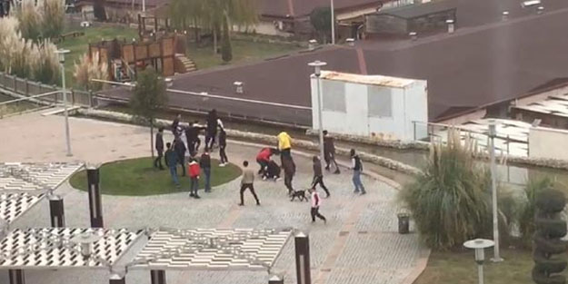 Denizli'de 30 liseli birbirine girdi! Köpeğini üstlerine saldı