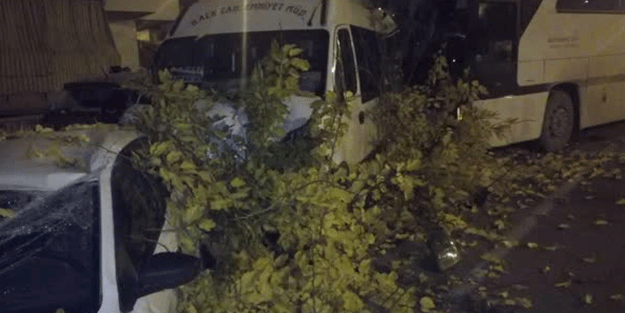 Denizli’de feci kaza! Çarparak durdu