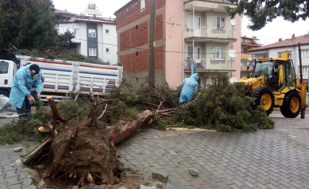 Denizli’de fırtına sonrası temizlik çalışmaları başladı 