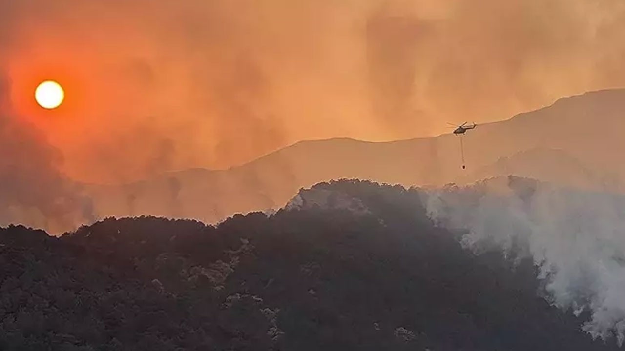 Denizli'de günlerdir devam eden orman yangını kontrol altına alındı