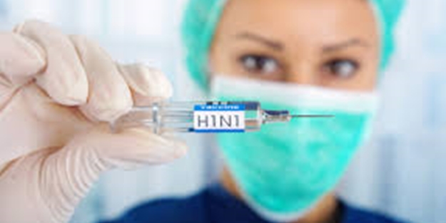 Domuz gribinden bir ölüm daha