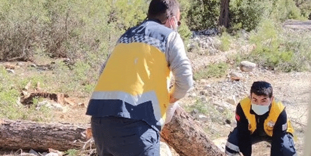 Hastaya ulaşmak için yoldaki odunları temizleyen sağlık ekibinin çabası kameraya yansıdı