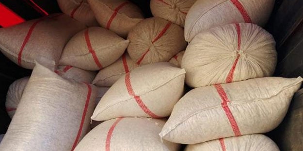 Denizli'de jandarmadan 'Çıtır' operasyonu