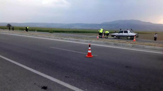 Denizli'de kaplumbağayı kurtarmak isterken canından oldu