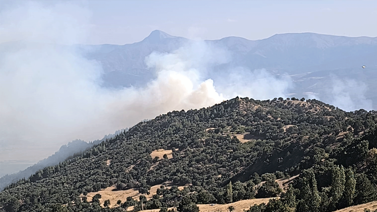 Denizli'de kontrol altına alınan yangın yeniden başladı