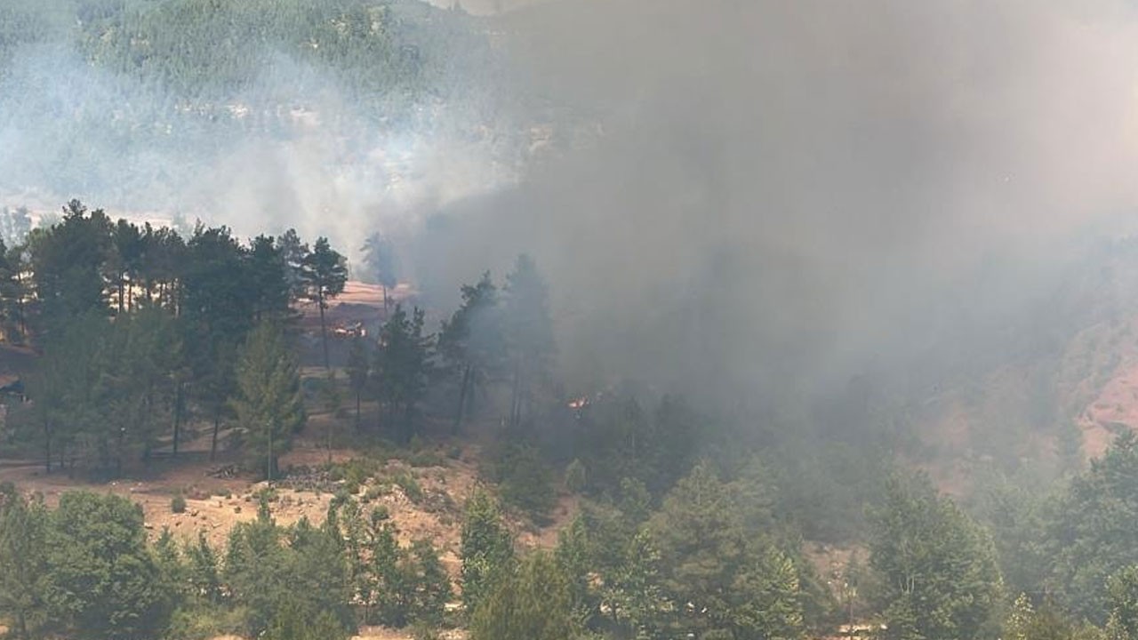 Denizli’de korkutan orman yangını
